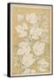 Full-Sized Vine Leaves Traced from Nature-null-Framed Stretched Canvas