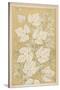 Full-Sized Vine Leaves Traced from Nature-null-Stretched Canvas