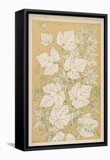 Full-Sized Vine Leaves Traced from Nature-null-Framed Stretched Canvas