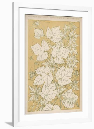 Full-Sized Vine Leaves Traced from Nature-null-Framed Art Print