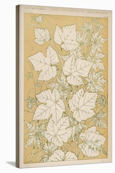 Full-Sized Vine Leaves Traced from Nature-null-Stretched Canvas