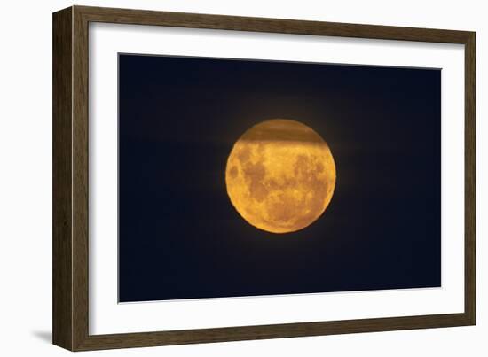 Full Supermoon, Lunar Perigee (Moons Closest Point to the Earth), New Zealand-David Wall-Framed Photographic Print