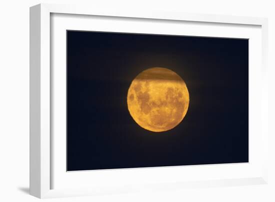 Full Supermoon, Lunar Perigee (Moons Closest Point to the Earth), New Zealand-David Wall-Framed Photographic Print