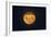 Full Supermoon, Lunar Perigee (Moons Closest Point to the Earth), New Zealand-David Wall-Framed Photographic Print