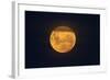 Full Supermoon, Lunar Perigee (Moons Closest Point to the Earth), New Zealand-David Wall-Framed Photographic Print