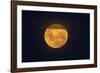 Full Supermoon, Lunar Perigee (Moons Closest Point to the Earth), New Zealand-David Wall-Framed Photographic Print