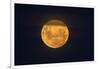 Full Supermoon, Lunar Perigee (Moons Closest Point to the Earth), New Zealand-David Wall-Framed Photographic Print