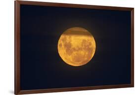 Full Supermoon, Lunar Perigee (Moons Closest Point to the Earth), New Zealand-David Wall-Framed Photographic Print