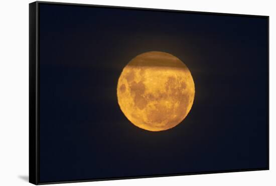 Full Supermoon, Lunar Perigee (Moons Closest Point to the Earth), New Zealand-David Wall-Framed Stretched Canvas