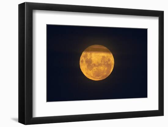 Full Supermoon, Lunar Perigee (Moons Closest Point to the Earth), New Zealand-David Wall-Framed Premium Photographic Print