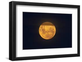 Full Supermoon, Lunar Perigee (Moons Closest Point to the Earth), New Zealand-David Wall-Framed Photographic Print