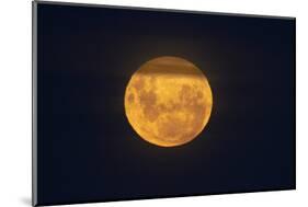Full Supermoon, Lunar Perigee (Moons Closest Point to the Earth), New Zealand-David Wall-Mounted Photographic Print