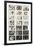 Full Undivided Sheet of the First Series of 21 Surrealist Picture Postcards, 1937-Georges Hugnet-Framed Giclee Print