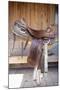 Full view of a Saddle resting on the railing, Tucson, Arizona, USA.-Julien McRoberts-Mounted Premium Photographic Print