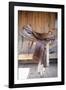 Full view of a Saddle resting on the railing, Tucson, Arizona, USA.-Julien McRoberts-Framed Photographic Print