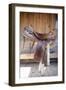 Full view of a Saddle resting on the railing, Tucson, Arizona, USA.-Julien McRoberts-Framed Photographic Print