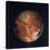 Full View of Io, One of the Moons of Jupiter, 1979-null-Stretched Canvas