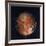 Full View of Io, One of the Moons of Jupiter, 1979-null-Framed Giclee Print