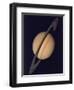 Full View of Saturn and Her Rings, 1980-null-Framed Premium Giclee Print