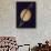 Full View of Saturn and Her Rings, 1980-null-Giclee Print displayed on a wall