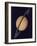 Full View of Saturn and Her Rings, 1980-null-Framed Giclee Print