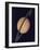 Full View of Saturn and Her Rings, 1980-null-Framed Giclee Print