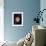 Full View of Saturn and Her Rings, 1980-null-Framed Giclee Print displayed on a wall