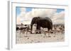 Full Waterhole with Elephants, Zebras, Springbok and Orix. Etosha National Park, Ombika, Kunene, Na-Artush-Framed Photographic Print