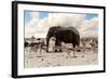 Full Waterhole with Elephants, Zebras, Springbok and Orix. Etosha National Park, Ombika, Kunene, Na-Artush-Framed Photographic Print