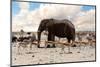 Full Waterhole with Elephants, Zebras, Springbok and Orix. Etosha National Park, Ombika, Kunene, Na-Artush-Mounted Photographic Print
