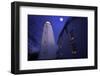 Full Winter Moon At Sandy Hook Lighthouse-George Oze-Framed Photographic Print