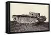 Fuller Medium D Tank-null-Framed Stretched Canvas