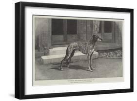 Fullerton, the Winner of the Waterloo Cup-null-Framed Giclee Print