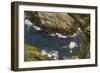 Fulmar (Fulmarus Glacialis) Bird Hanging in Air over Cliffs, Shetland Islands, Scotland-Andy Parkinson-Framed Photographic Print