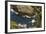 Fulmar (Fulmarus Glacialis) Bird Hanging in Air over Cliffs, Shetland Islands, Scotland-Andy Parkinson-Framed Photographic Print