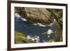 Fulmar (Fulmarus Glacialis) Bird Hanging in Air over Cliffs, Shetland Islands, Scotland-Andy Parkinson-Framed Photographic Print