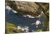 Fulmar (Fulmarus Glacialis) Bird Hanging in Air over Cliffs, Shetland Islands, Scotland-Andy Parkinson-Stretched Canvas