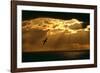 Fulmar in Flight in Front of Spectacular Lighting-null-Framed Photographic Print