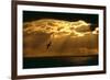 Fulmar in Flight in Front of Spectacular Lighting-null-Framed Photographic Print