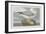 Fulmer Petrel, 1835-John James Audubon-Framed Premium Giclee Print