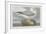 Fulmer Petrel, 1835-John James Audubon-Framed Giclee Print