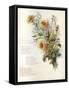 Fulness of Joy Plate-Frances Ridley Havergal-Framed Stretched Canvas