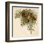 Fulness of Joy-null-Framed Art Print