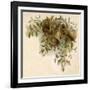 Fulness of Joy-null-Framed Art Print