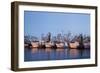 Fulton Harbor and oyster boats-Larry Ditto-Framed Photographic Print