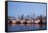 Fulton Harbor and oyster boats-Larry Ditto-Framed Stretched Canvas