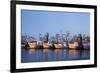 Fulton Harbor and oyster boats-Larry Ditto-Framed Premium Photographic Print