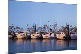 Fulton Harbor and oyster boats-Larry Ditto-Mounted Premium Photographic Print