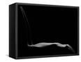 Canvas Black