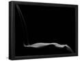 Essential Black
